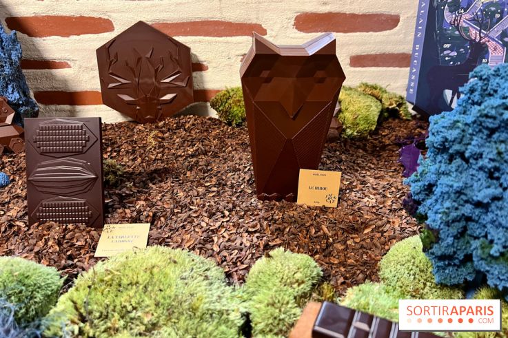 Alain Ducasse - Chocolats de Noël 2023 - E6E01285 D2C7 4778 A7FE B172F039506F