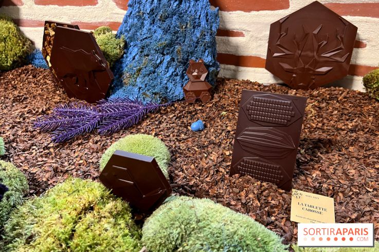 Alain Ducasse - Chocolats de Noël 2023 - F294480A 28D4 4055 AE42 265FE00C39D4