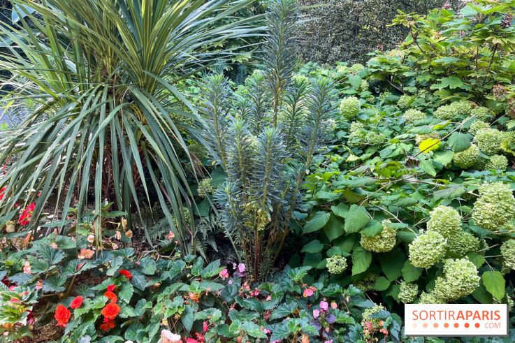 Parc de la butte du chapeau rouge - image00778