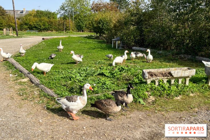 La Ferme des 4 Etoiles à Auffargis