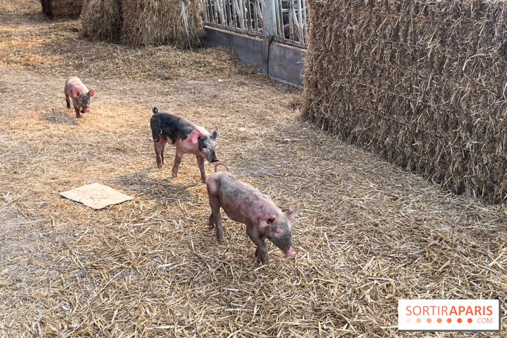 La Ferme des 4 Etoiles à Auffargis