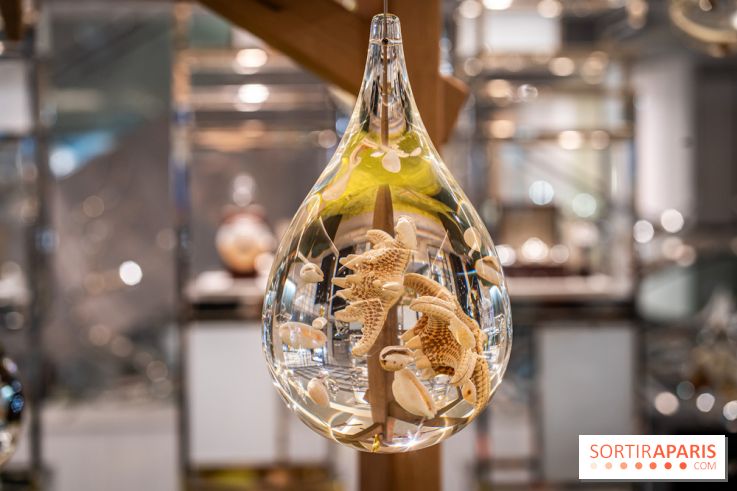 Exposition des Larmes de Joie de Benoit Dutour au Printemps Haussmann