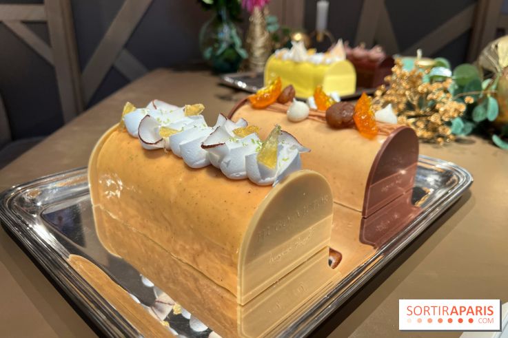 Hugo & Victor - Bûche de Noël 2023 exotique