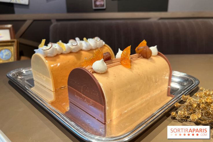 Hugo & Victor - Bûche de Noël 2023 marron-clémentine