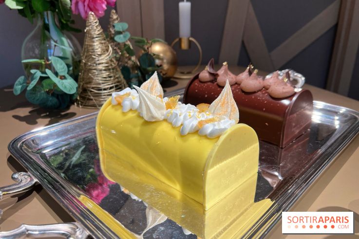 Hugo & Victor - Bûche de Noël 2023 citron-verveine