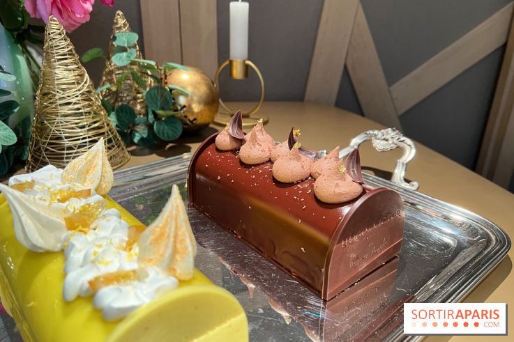 Hugo & Victor - Bûche de Noël 2023 chocolat