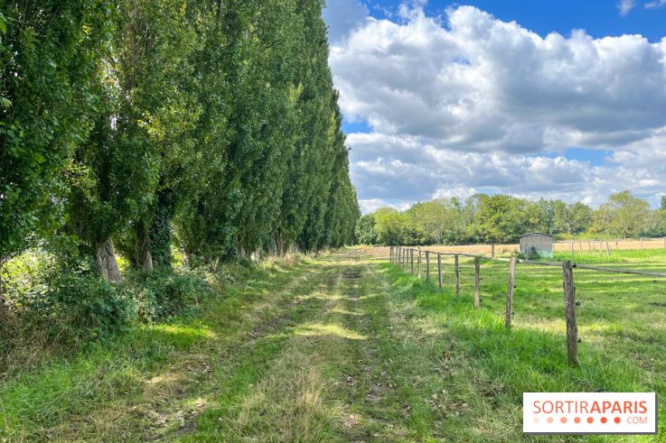 Un week-end le long du Loing, de Montigny-sur-Loing à Thomery