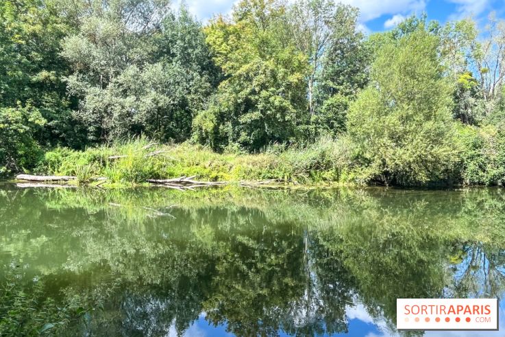 Un week-end le long du Loing, de Montigny-sur-Loing à Thomery