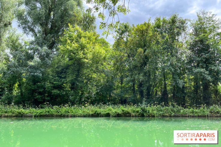 Un week-end le long du Loing, de Montigny-sur-Loing à Thomery