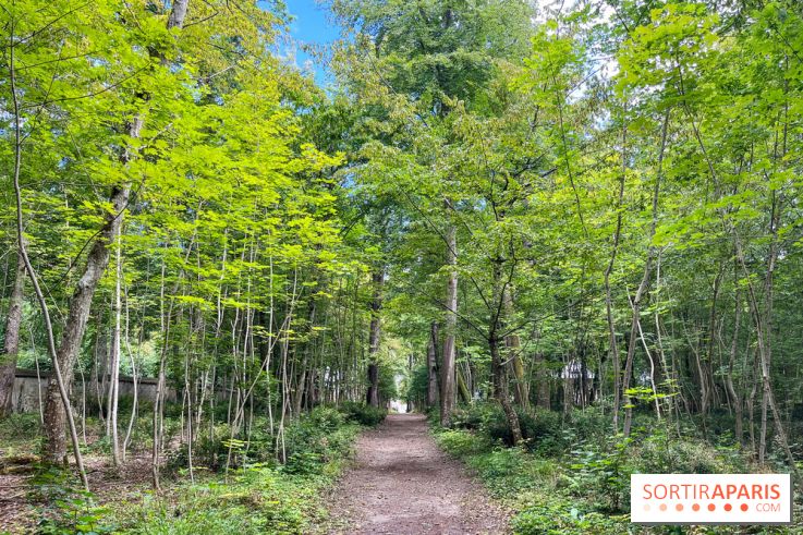Un week-end le long du Loing, de Montigny-sur-Loing à Thomery