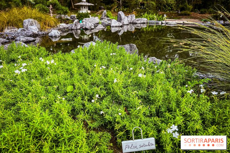 Les jardins japonais de Favières - photos