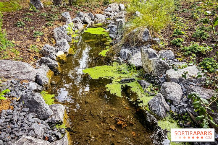 Les jardins japonais de Favières - photos