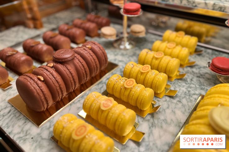 Ladurée - Bûches de Noël 2023 macarons