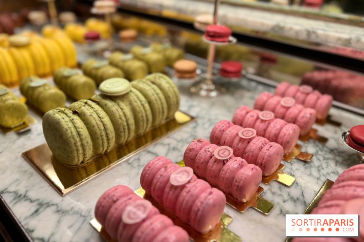 Ladurée - Bûches de Noël 2023 macarons