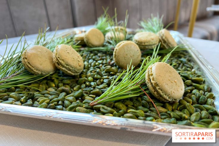 Dalloyau - Macarons de Noël 2023