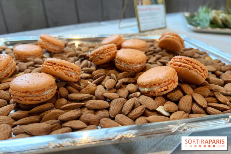 Dalloyau - Macarons de Noël 2023