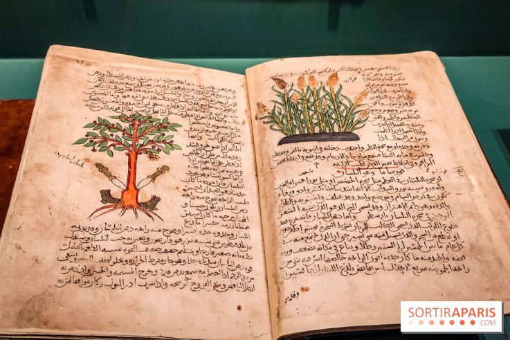 Parfums d'Orient, l'exposition qui enchante nos sens à l'Institut du Monde Arabe - photos