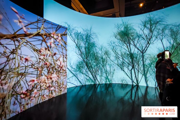 Parfums d'Orient, l'exposition qui enchante nos sens à l'Institut du Monde Arabe - photos