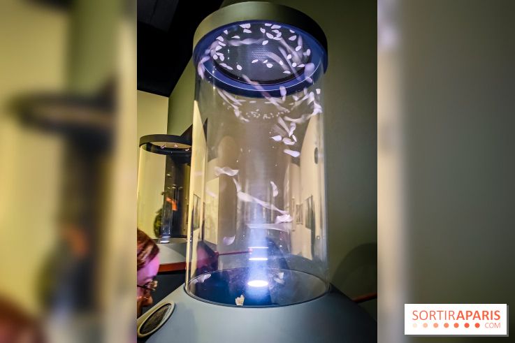 Parfums d'Orient, l'exposition qui enchante nos sens à l'Institut du Monde Arabe - photos