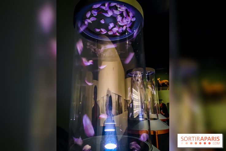 Parfums d'Orient, l'exposition qui enchante nos sens à l'Institut du Monde Arabe - photos