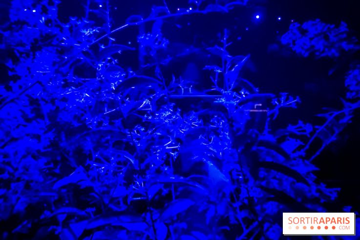 Parfums d'Orient, l'exposition qui enchante nos sens à l'Institut du Monde Arabe - photos