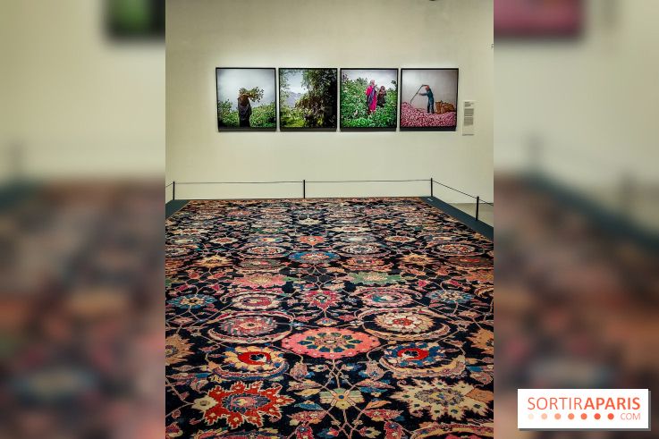 Parfums d'Orient, l'exposition qui enchante nos sens à l'Institut du Monde Arabe - photos