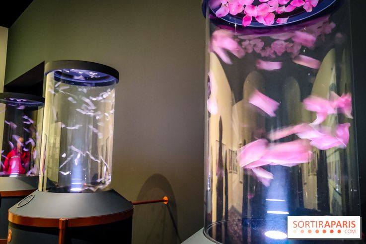 Parfums d'Orient, l'exposition qui enchante nos sens à l'Institut du Monde Arabe - photos