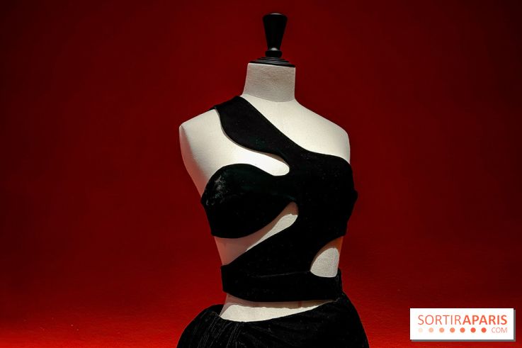 Azzedine Alaïa, couturier collectionneur : l'exposition mode inédite au Palais Galliera - image00161