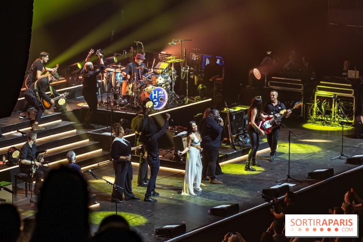 L'Héritage Goldman au Dôme de Paris - Palais des Sports - les photos