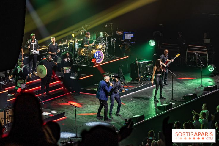 L'Héritage Goldman au Dôme de Paris - Palais des Sports - les photos