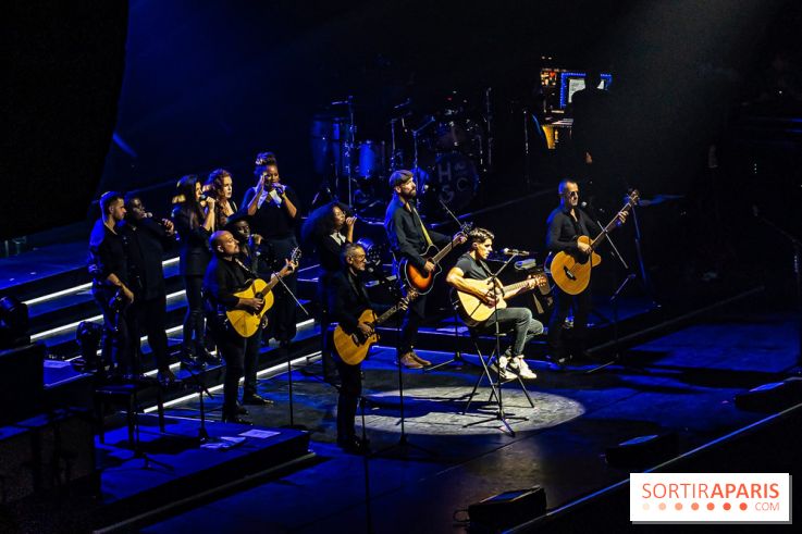 L'Héritage Goldman au Dôme de Paris - Palais des Sports - les photos