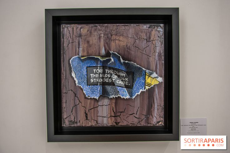 Exposition Les Cages de l'Imaginaire Sandra Chevrier galerie Goldshteyn-Saatort