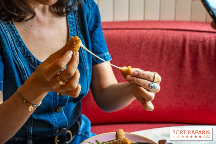 Pomelo bistrot méditerranéen Paris 2 -  mozzarella stick