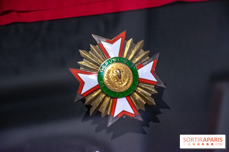 Exposition Le Chevalier du Ciel au Musée de l'Ordre de la Libération