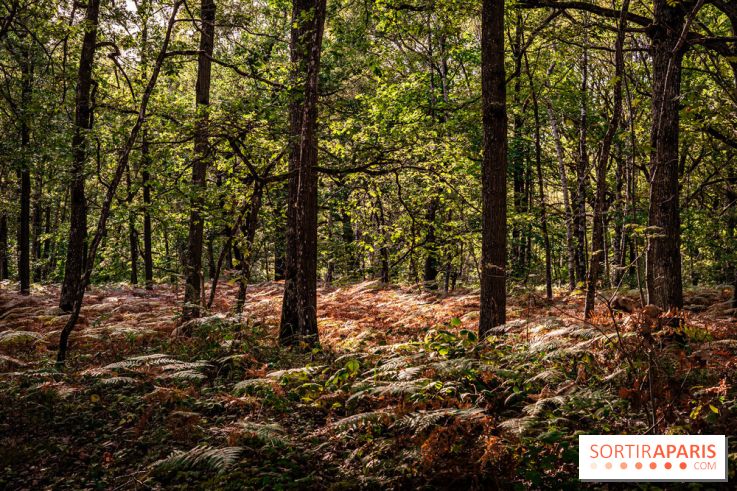 Le sentier des Maréchaux à Senlisse - Vallée de Chevreuse
