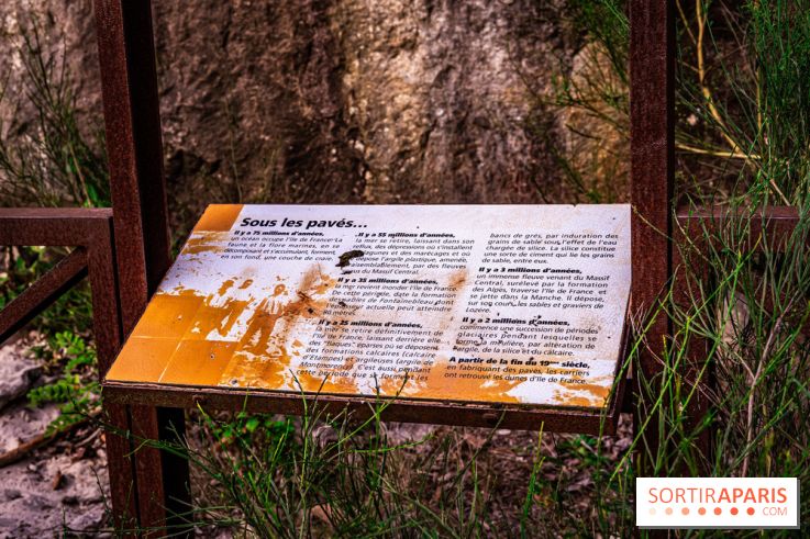 Le sentier des Maréchaux à Senlisse - Vallée de Chevreuse -  A7C2478