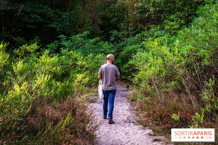 Le sentier des Maréchaux à Senlisse - Vallée de Chevreuse -  A7C2479