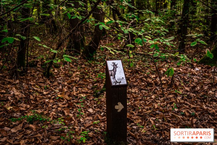 Le sentier des Maréchaux à Senlisse - Vallée de Chevreuse -  A7C2490
