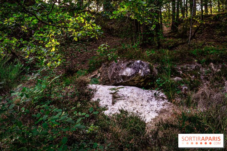 Le sentier des Maréchaux à Senlisse - Vallée de Chevreuse