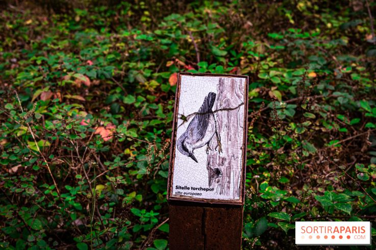 Le sentier des Maréchaux à Senlisse - Vallée de Chevreuse -  panneau faune flore