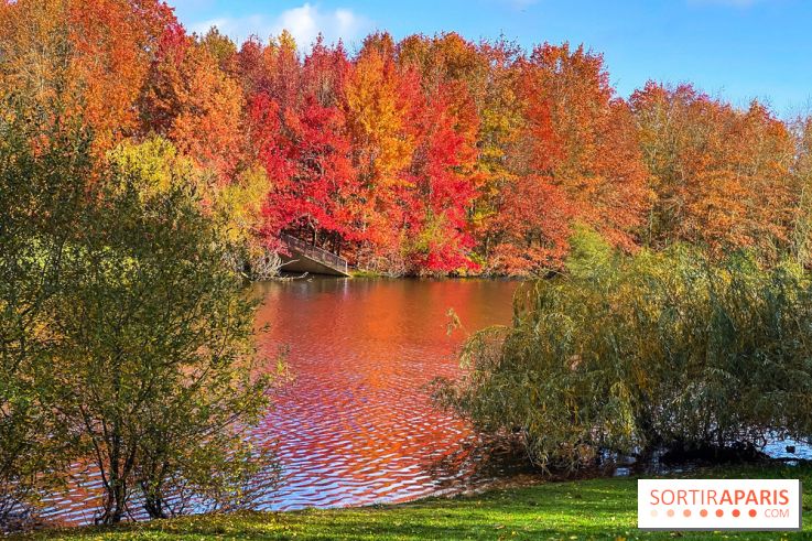 Bassin - étang de la Boissière à Elancourt