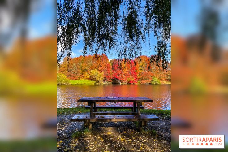 Bassin - étang de la Boissière à Elancourt