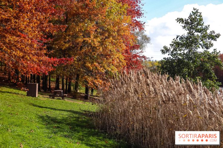 Bassin - étang de la Boissière à Elancourt