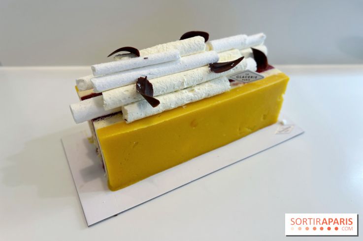 Les bûches de Noël glacées 2023 de David Wesmaël à La Glacerie Paris - DCE4874D 8826 4267 B1C6 EFD723284399