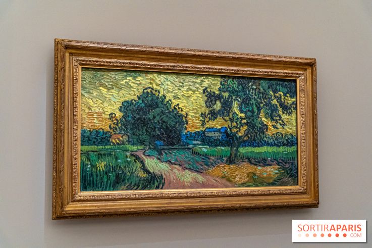 Exposition Van Gogh au Musée d’Orsay - Auvers-sur-Oise, les derniers mois -  A7C3119