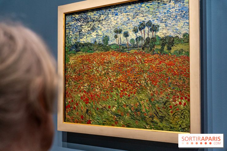 Exposition Van Gogh au Musée d’Orsay - Auvers-sur-Oise, les derniers mois -  A7C3110