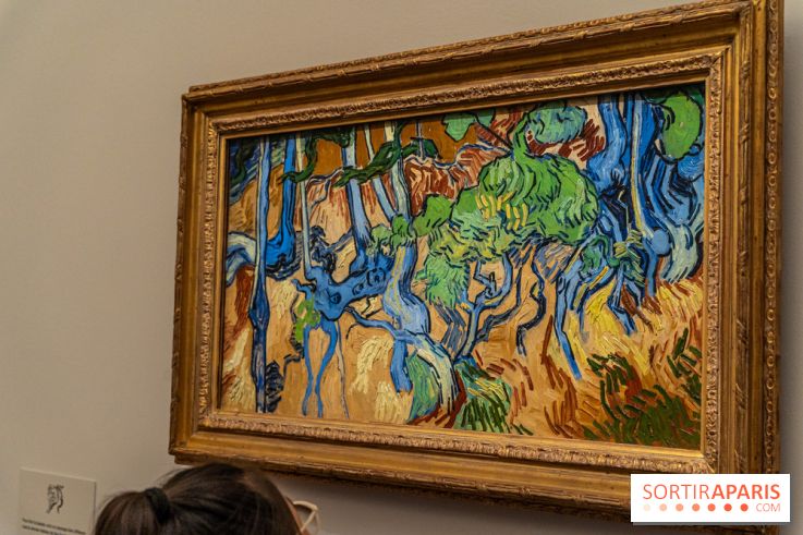 Exposition Van Gogh au Musée d’Orsay - Auvers-sur-Oise, les derniers mois -  A7C3116
