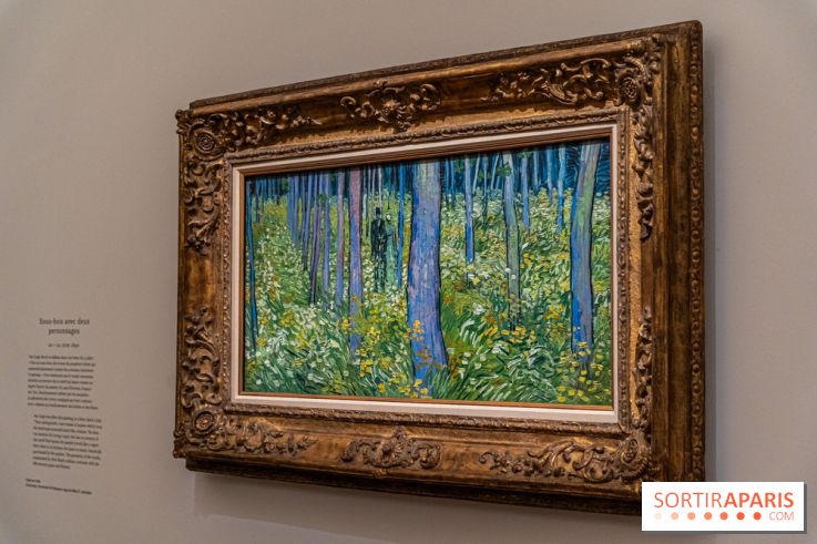 Exposition Van Gogh au Musée d’Orsay - Auvers-sur-Oise, les derniers mois -  A7C3118