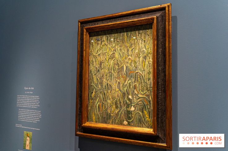 Exposition Van Gogh au Musée d’Orsay - Auvers-sur-Oise, les derniers mois -  A7C3081