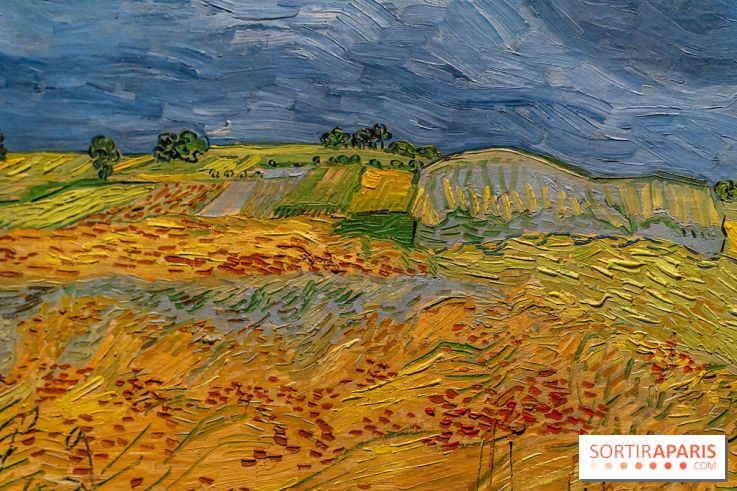 Exposition Van Gogh au Musée d’Orsay - Auvers-sur-Oise, les derniers mois -  A7C3103